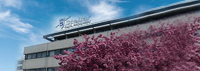 office_utrecht_groot